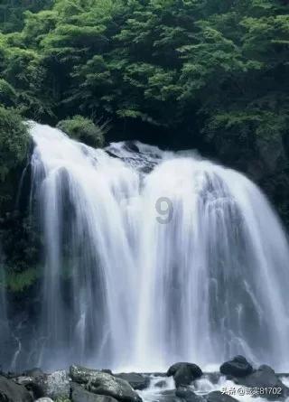春雨直播app